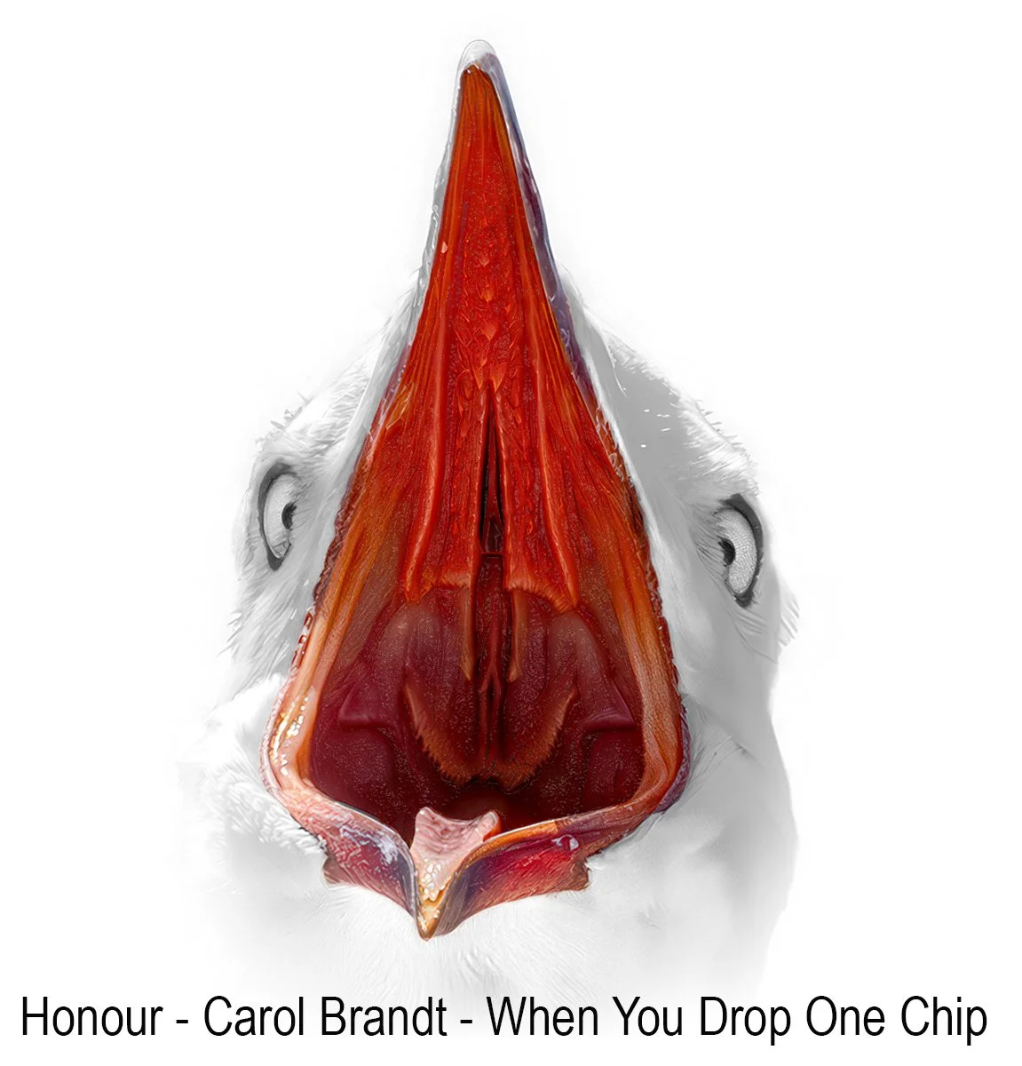 Honours- 9---Carol-Brandt---When-You-Drop-One-Chip.jpg