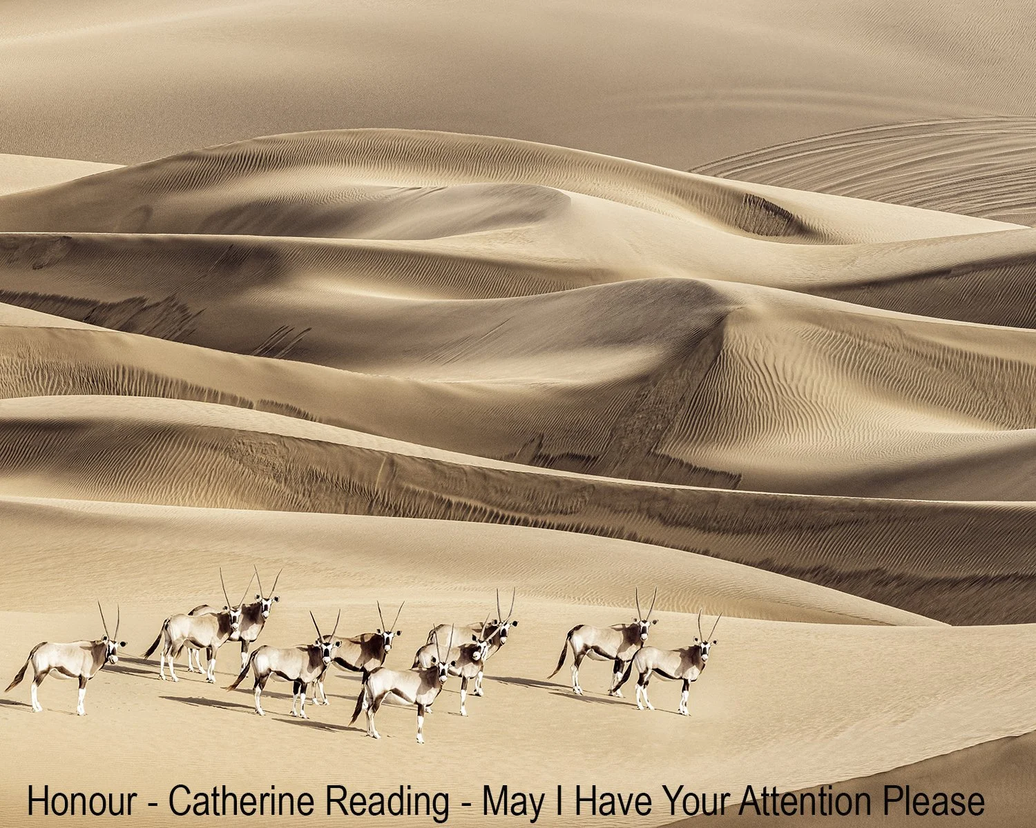 Honours- 9---Catherine-Reading---May-I-Have-Your-Attention-Please.jpg