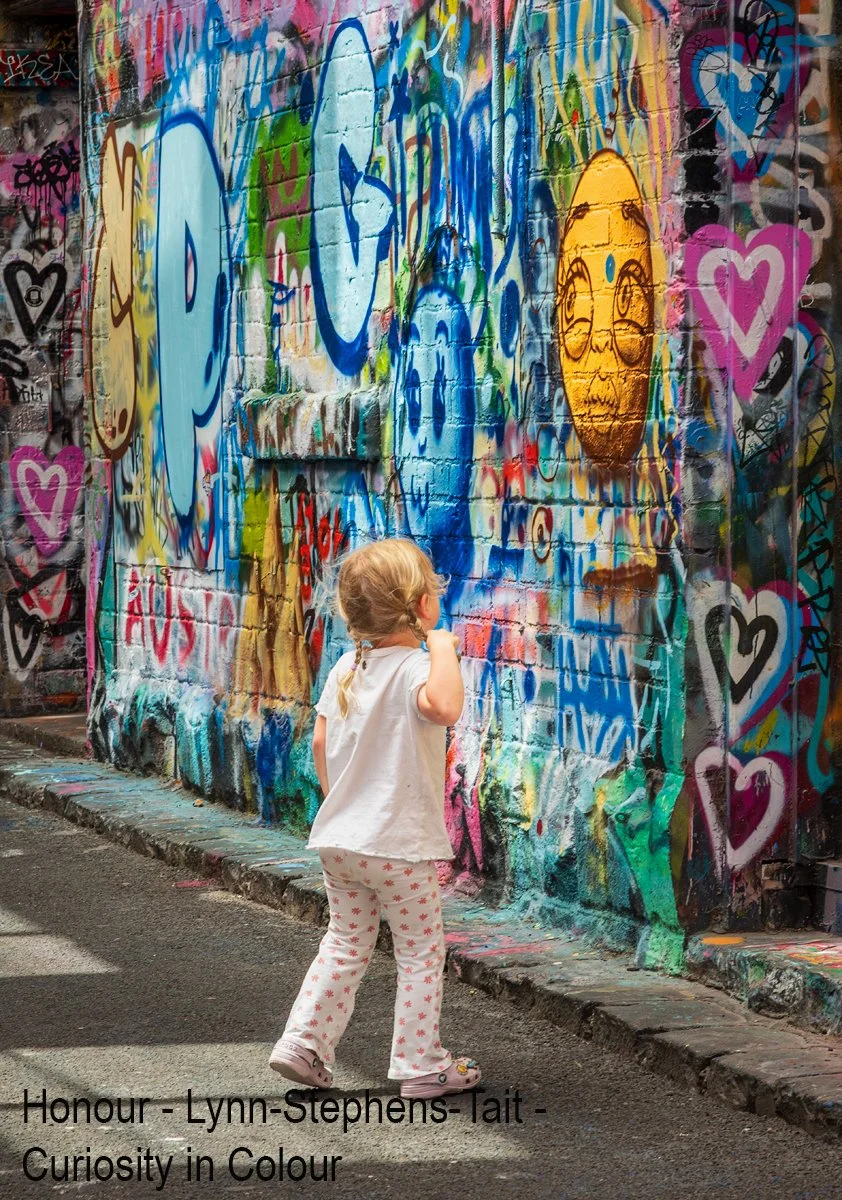 Honours- 9---Lynn-Stephens-Tait---Curiosity-in-Colour.jpg