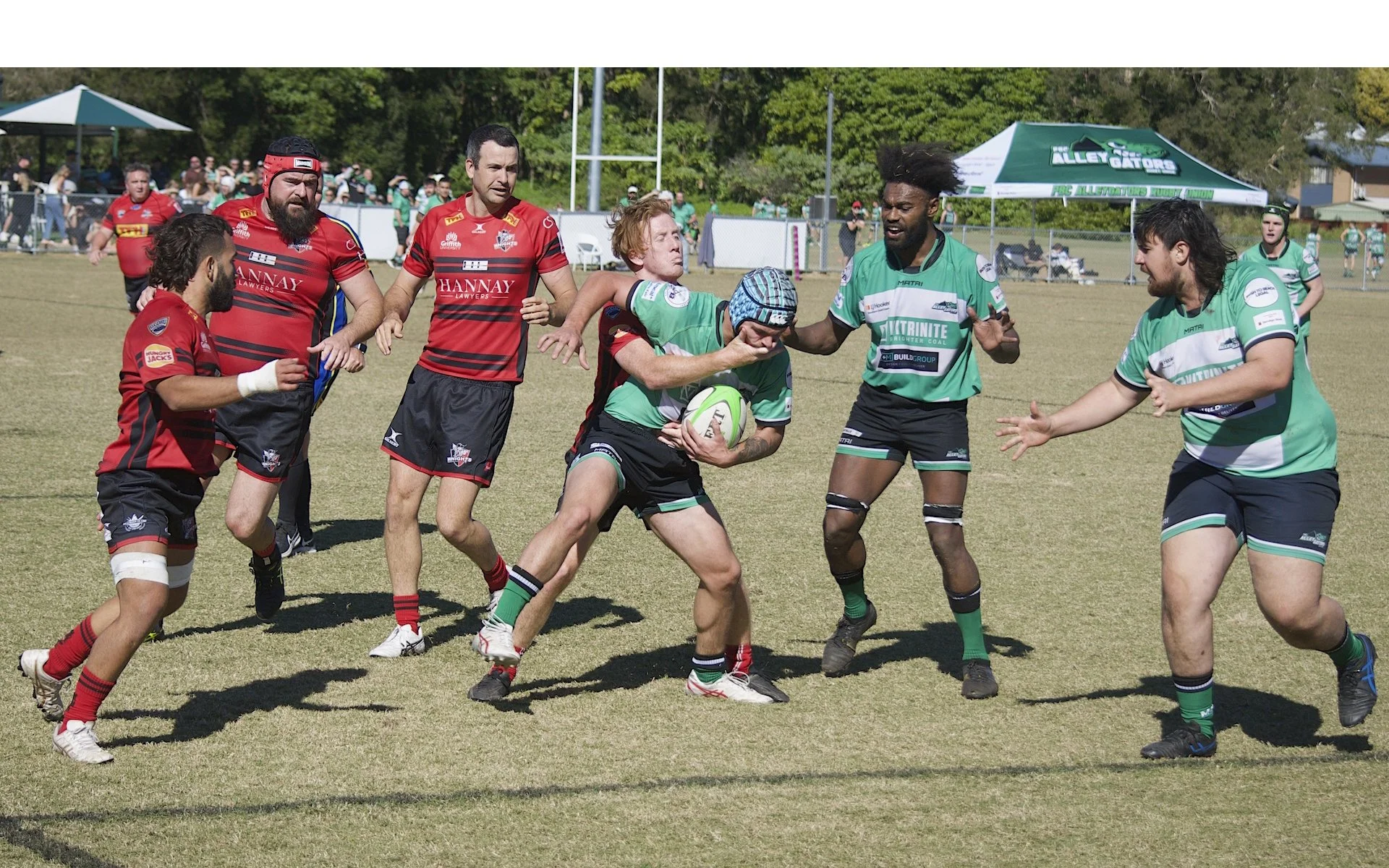 Merit - 7---Ed-Stewart---Alleygator-cops-a-mouthful.jpeg