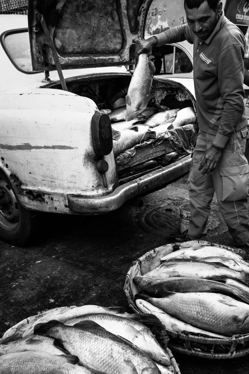 Merit - 7---Steven-Joyce---Fast-Food.jpg