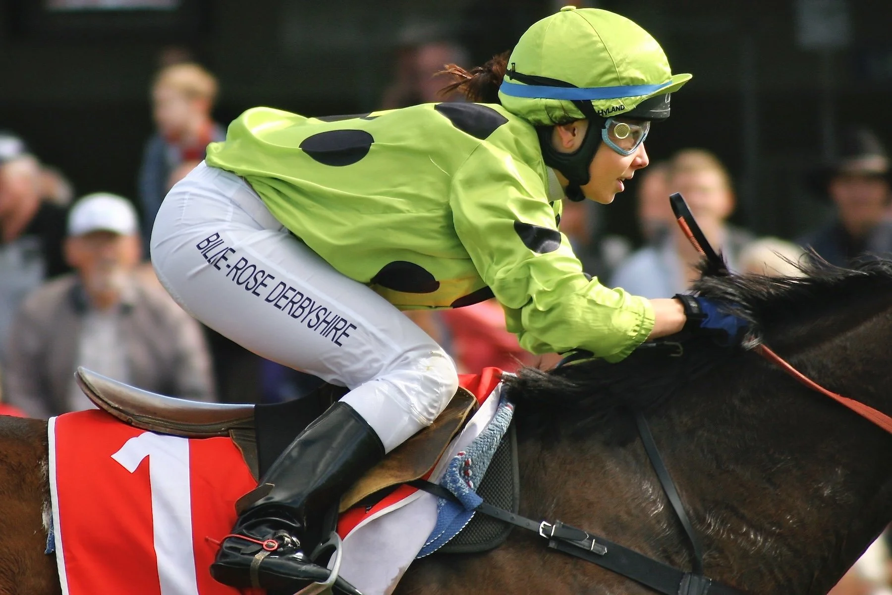 Merit - 8---Ross-Stanley---Poise.JPG