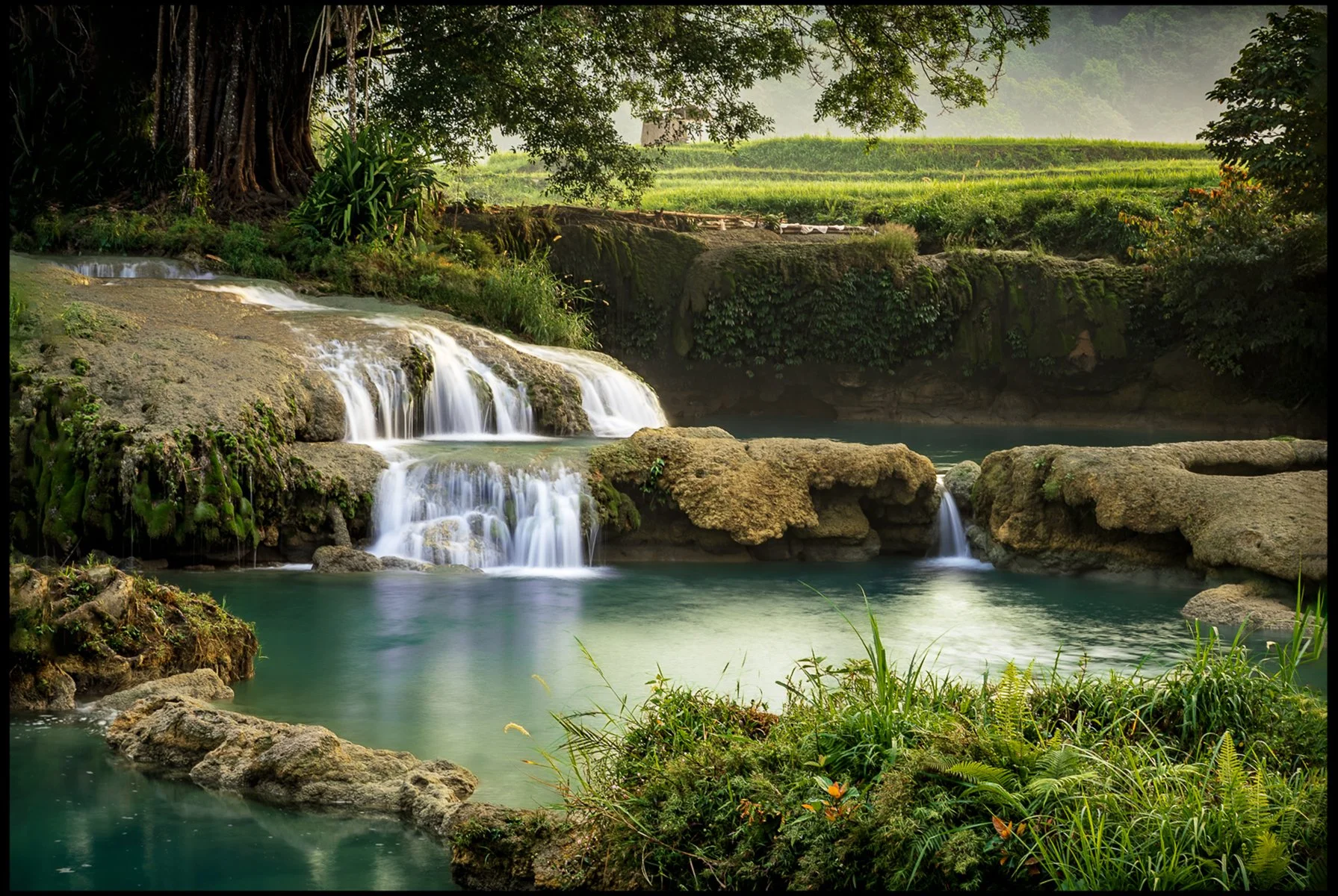 Merit - 7---Victoria-McDonald---Peaceful-Morning.jpg