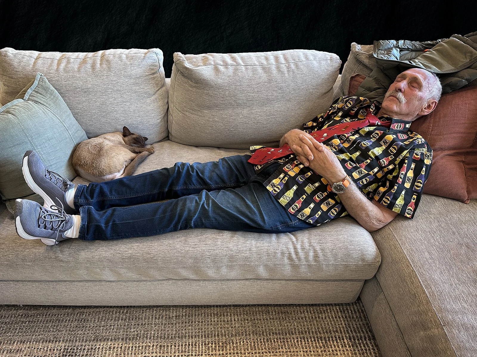 Commended - 5---Carol-Brandt---The-Art-of-Doing-Nothing.jpg