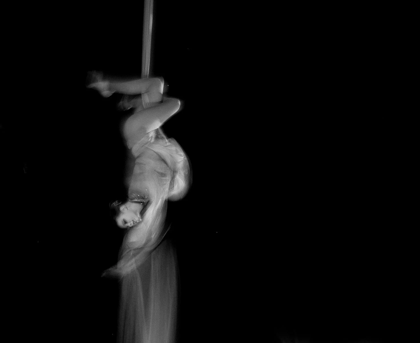 Highly Commended - 6---Philip-Daley---Intertwined.jpg