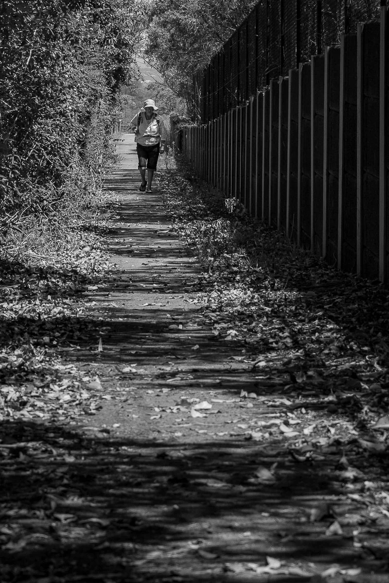 Commended - 5---Peter-Kulmer---The-long-walk.jpg