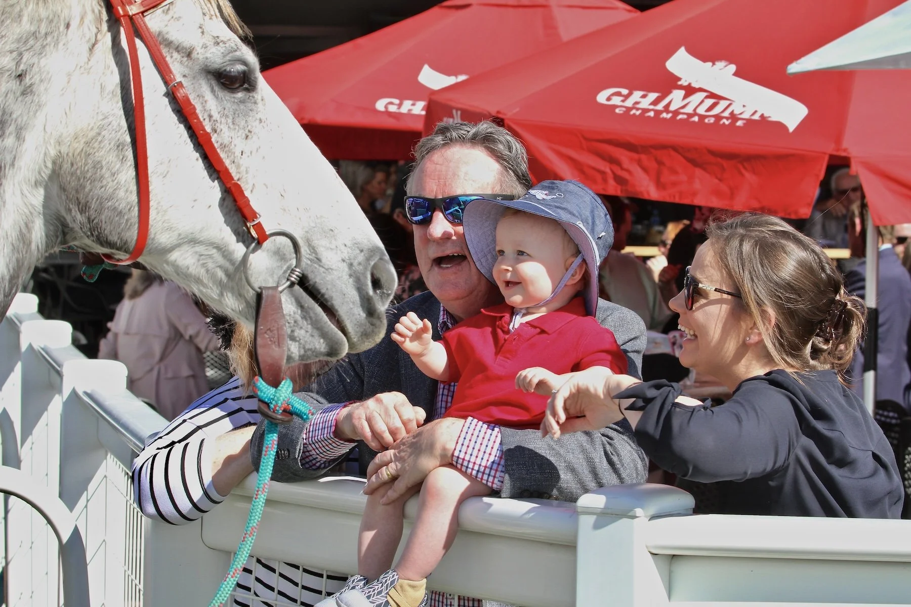 Accepted - 3---Ross-Stanley---Sheer-Delight.jpeg