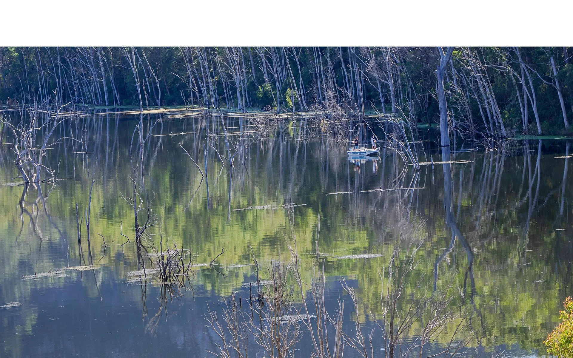 Accepted - 4---Gay-Land---Gone-Fishing.jpg