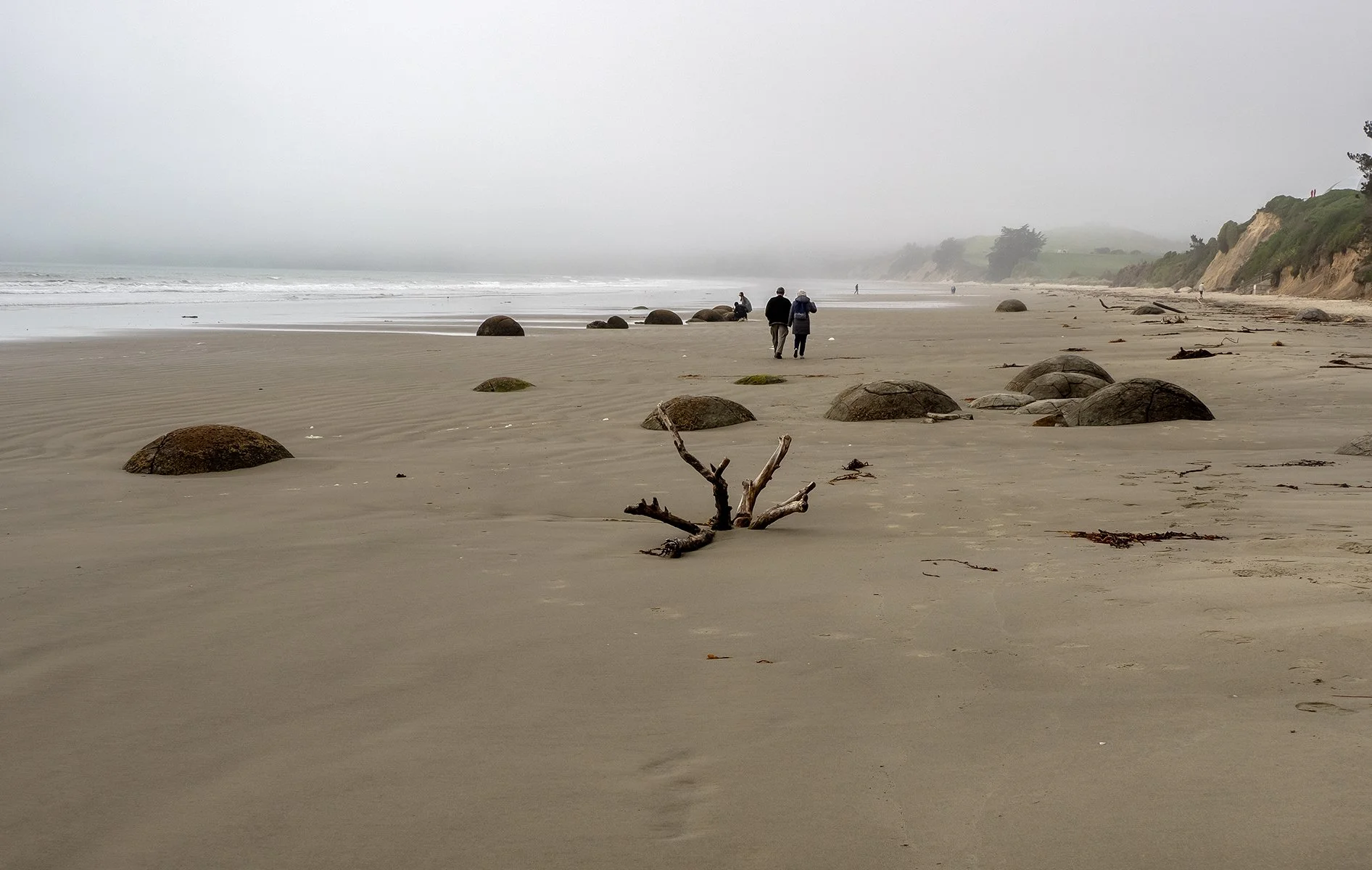 Accepted - 4---Gay-Land---Into-the-Mist.jpg