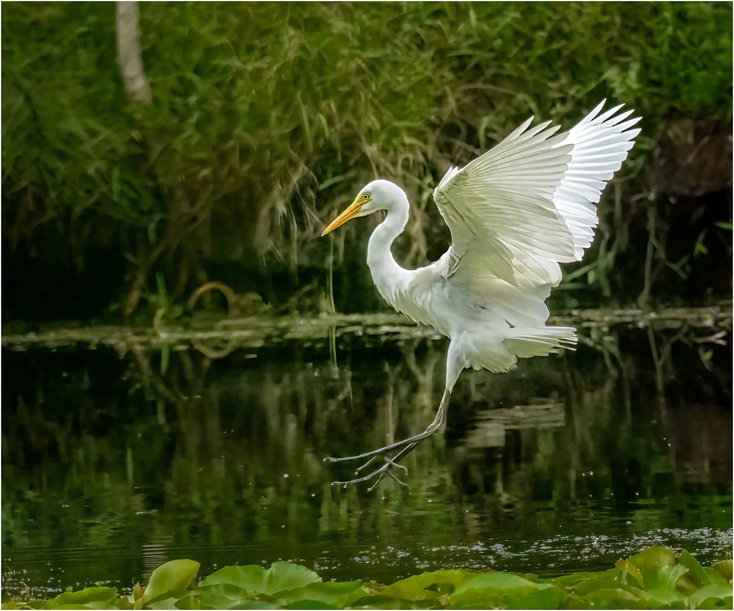 Accepted - 4---Geoff-Cousins---The-Landing.jpg