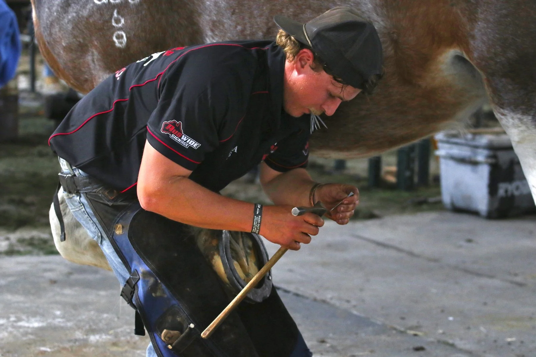 Accepted - 4---Ross-Stanley---Nailed-It.JPG