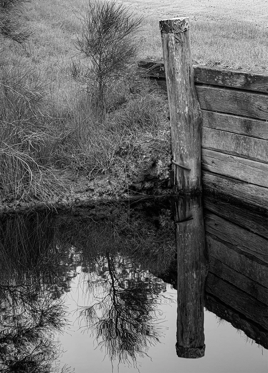 Commended - 5---Allanna-Jessup---Still-Creek-Water.jpg