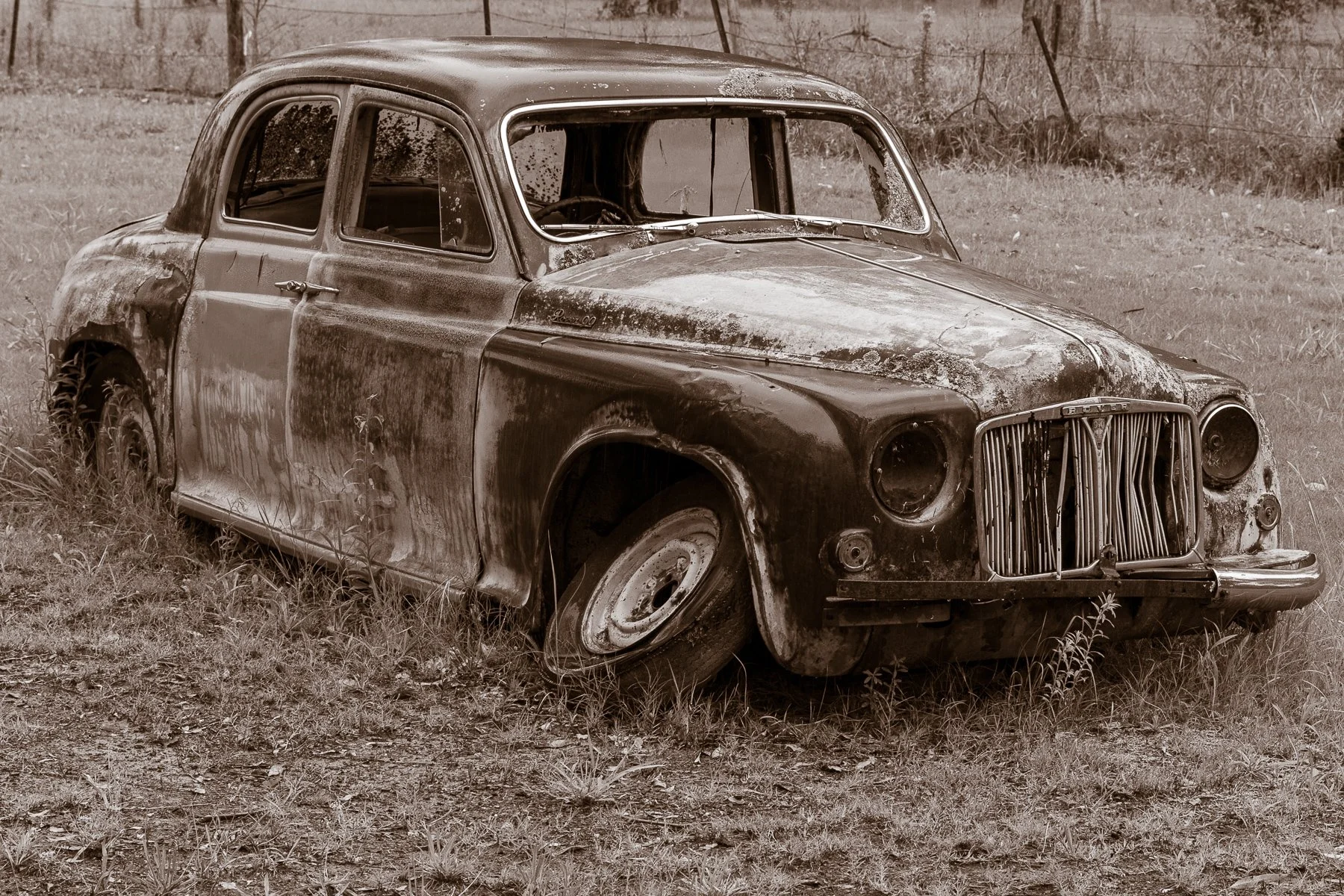 Commended - 5---Peter-Kulmer---The-long-wait.jpg