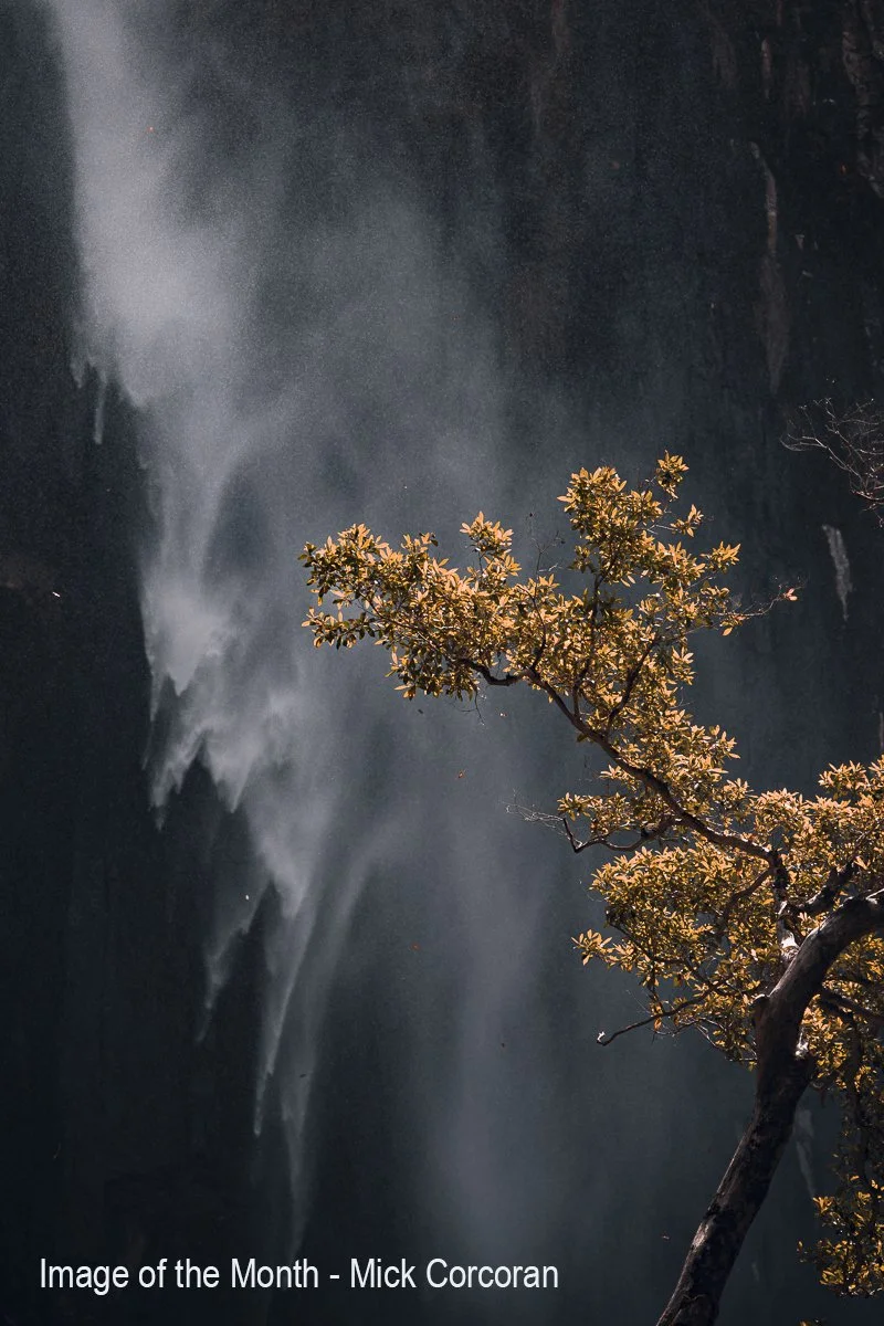 -Best Image Honours- 9---Mick-Corcoran---Minyon-Falls.jpg