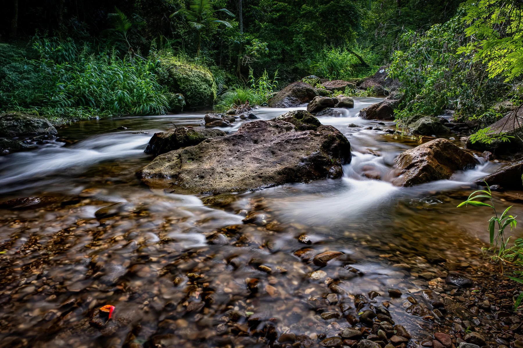 Merit - 7---Bill-Gillespie---Red-leaf-in-the-secret-stream.jpg