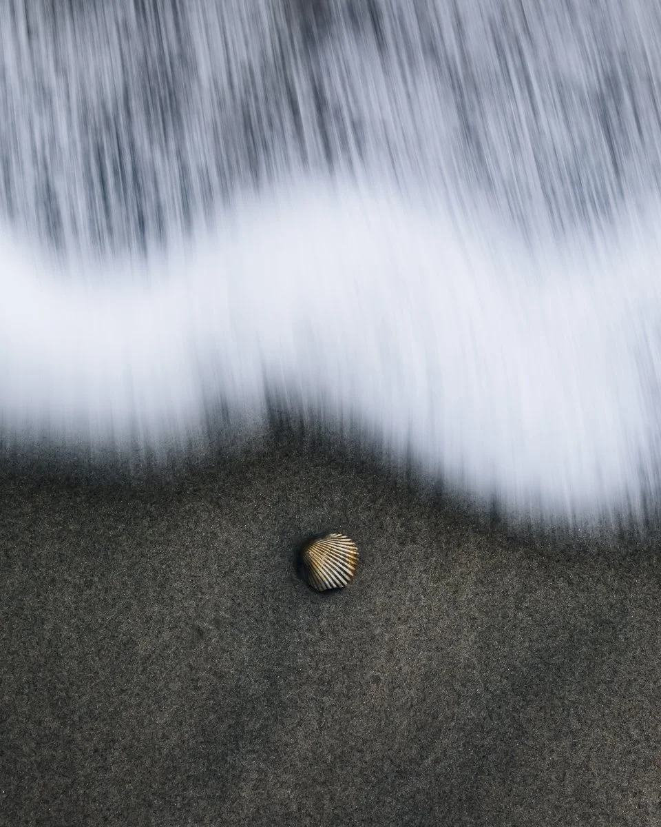 Merit - 8---Mick-Corcoran---Against-The-Tide.jpg