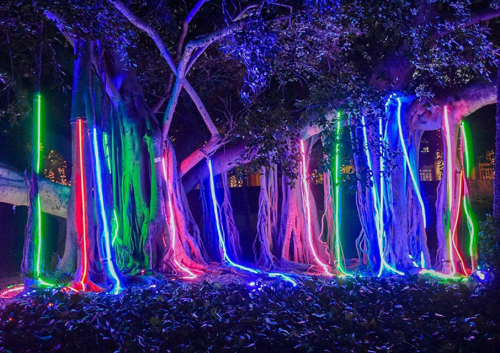 Accepted - 4---David-Harries---Brisbane-Light-Scape.jpg