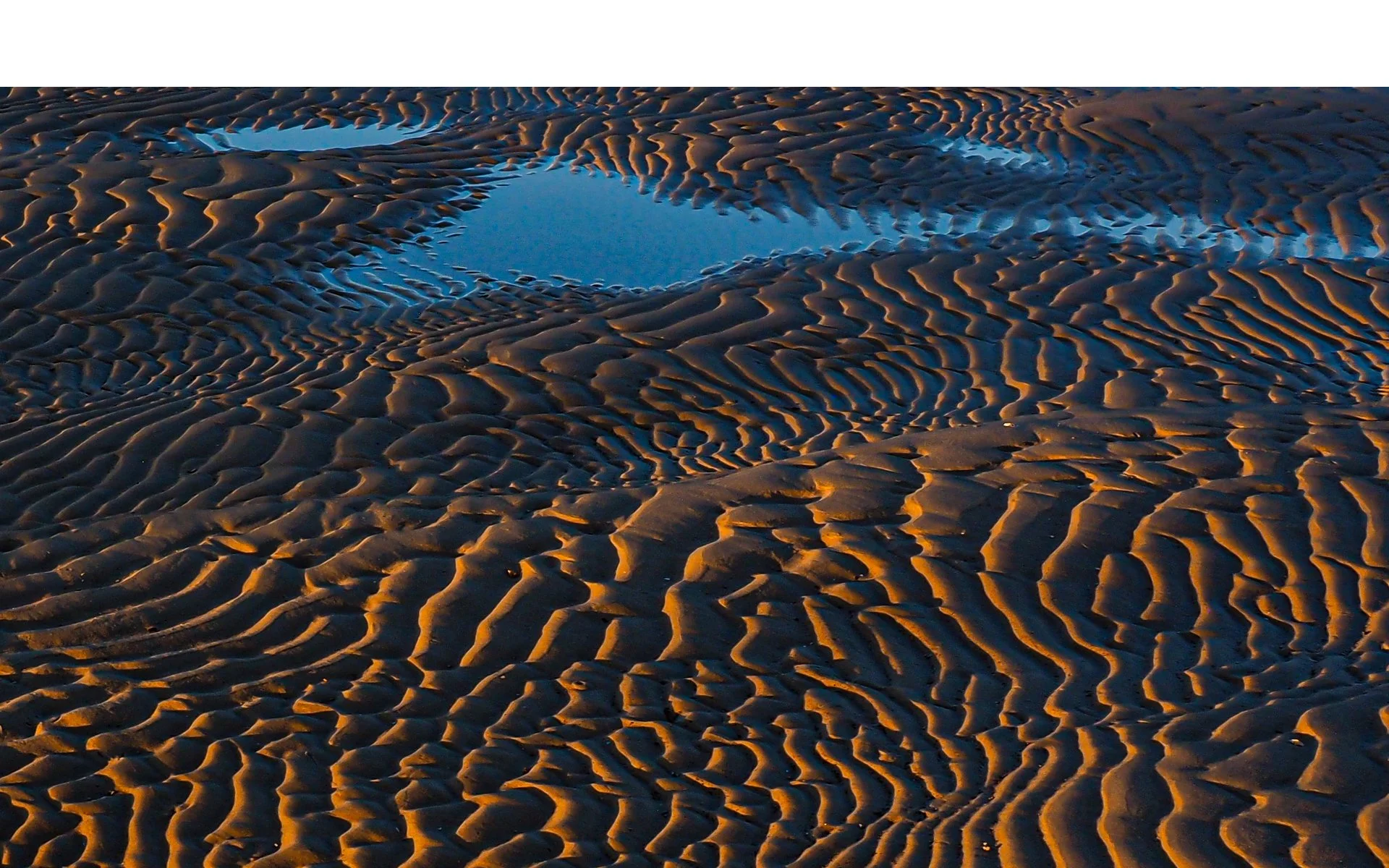 Accepted - 4---Jill-Garland---Low-tide.jpg