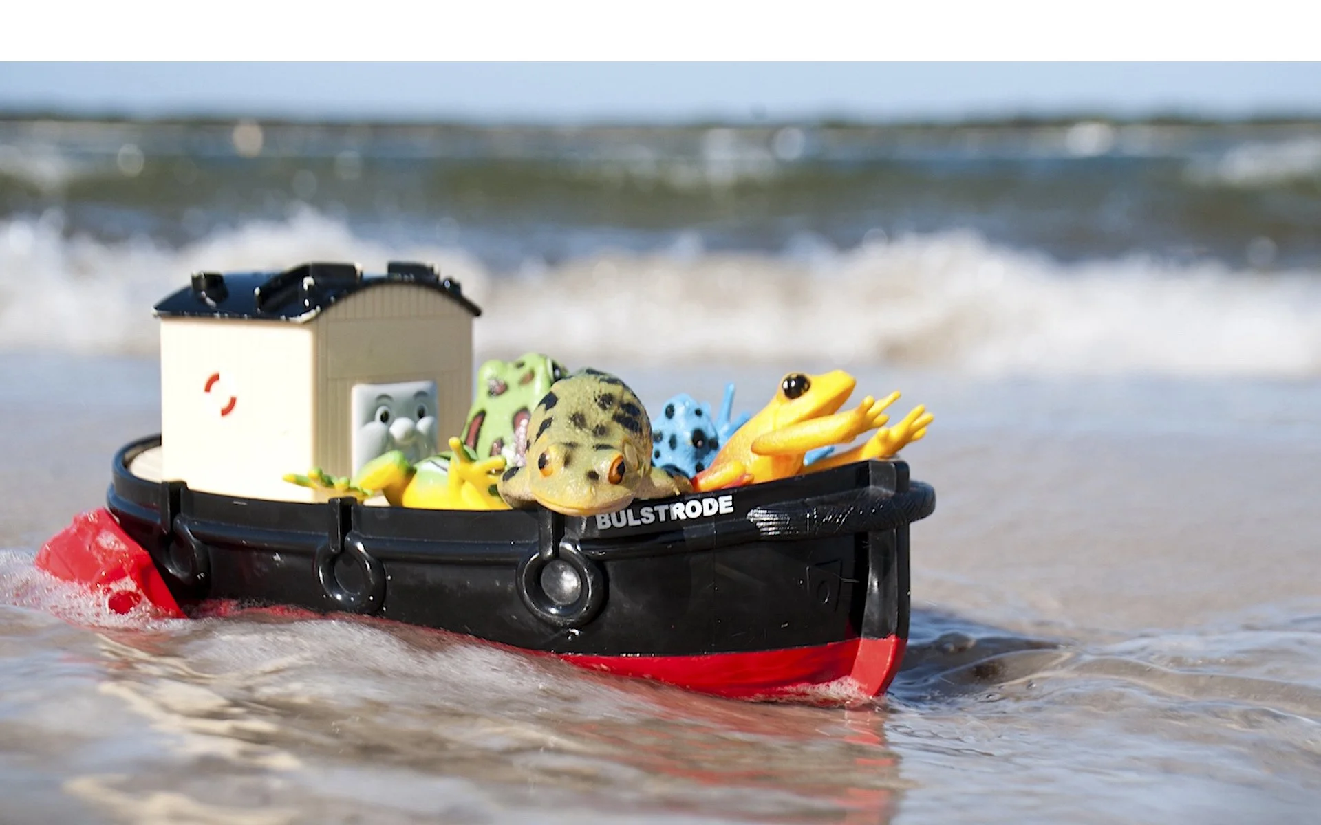 Commended - 5---Ed-Stewart---The-Illegal-boat-frogs.jpeg