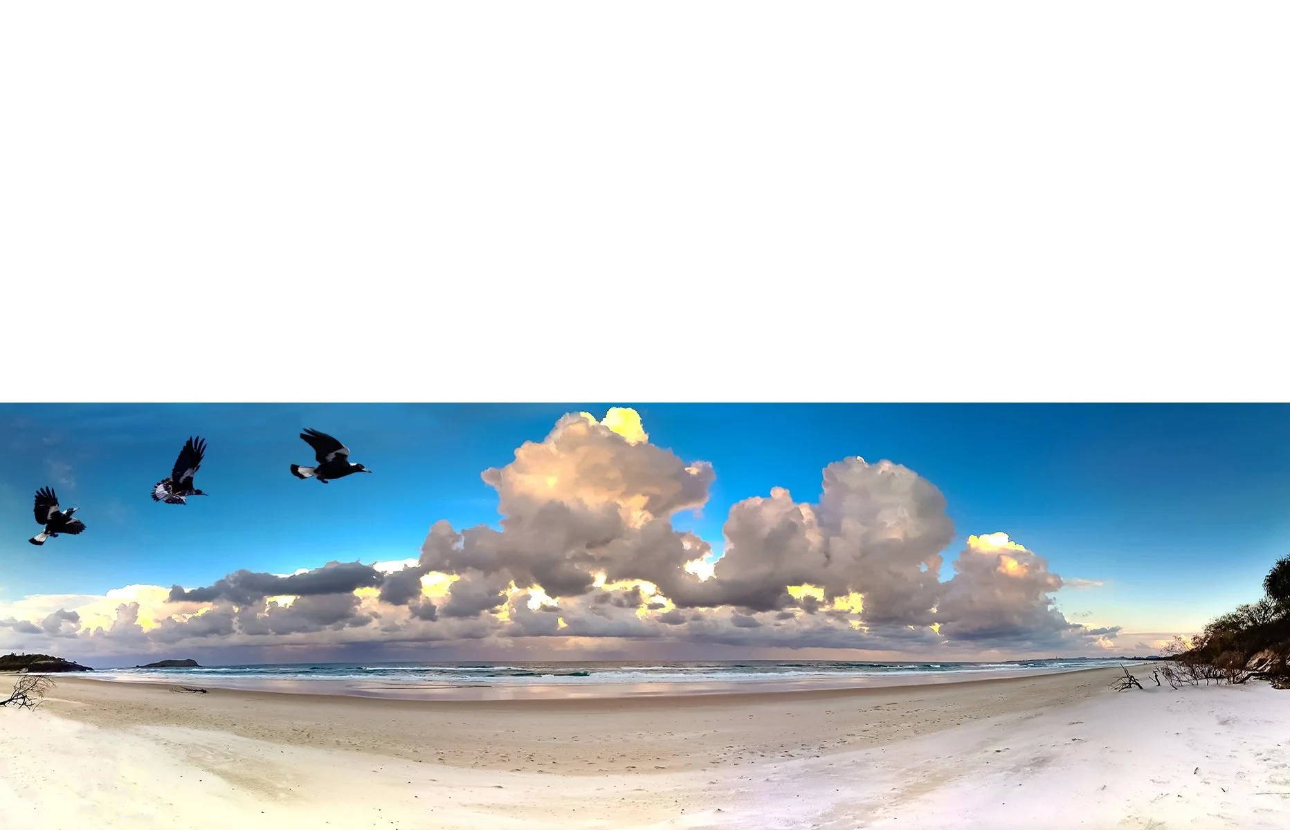 Commended - 5---Gavin-Robbie---Dreamtime-Beach.jpg