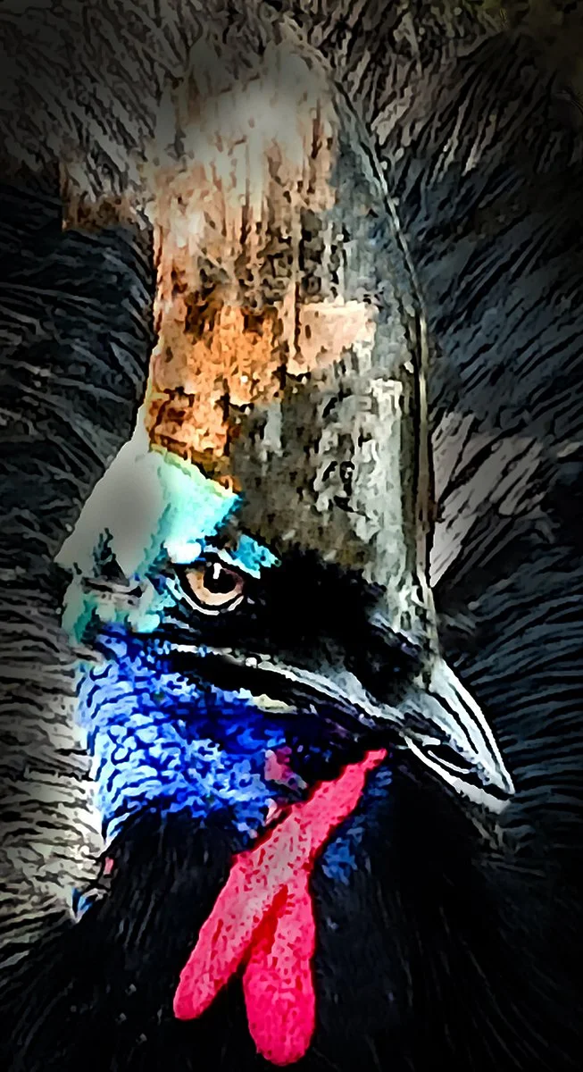 Highly Commended - 6---Gavin-Robbie---Angry-Birds.jpg