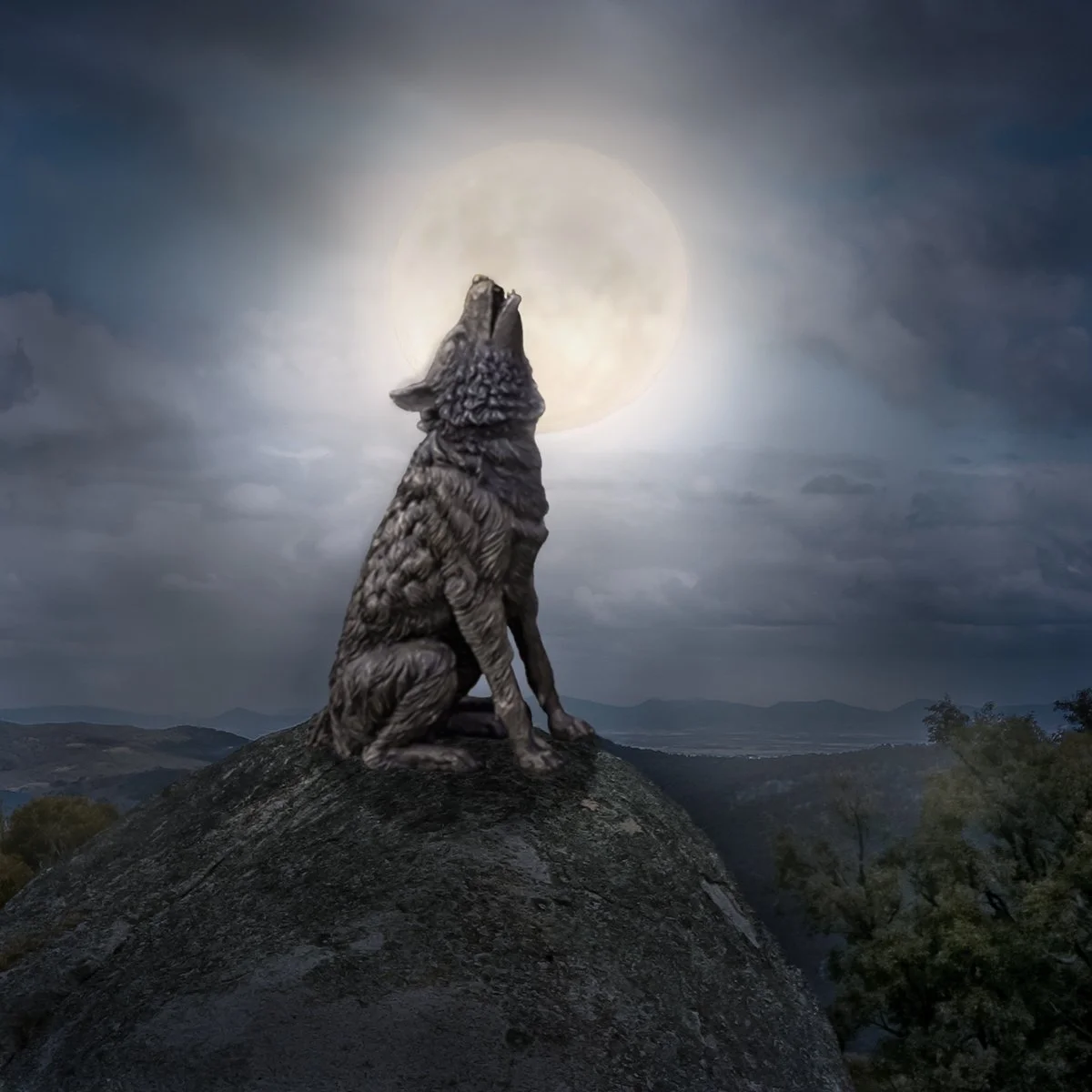 Highly Commended - 6---Neville-Peters---Moonlit-Serenade.jpg