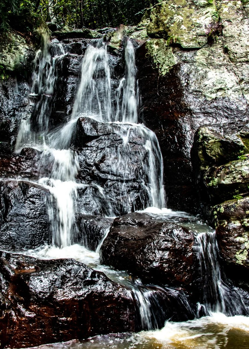 Accepted - 4---Julie-Kulmer---The-Water-Flows.jpg
