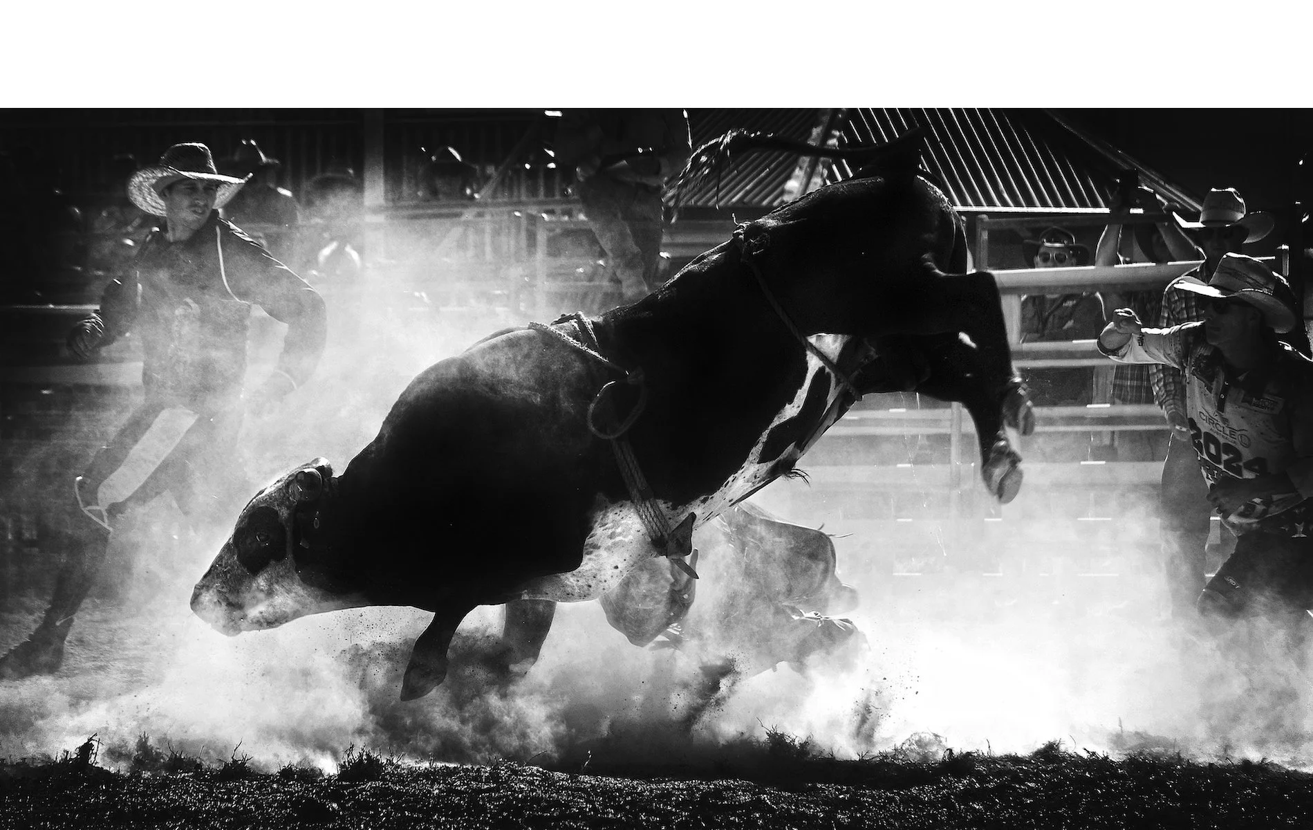 Commended - 5---Ed-Stewart---Tenterfield-Rodeo-carnage.jpg