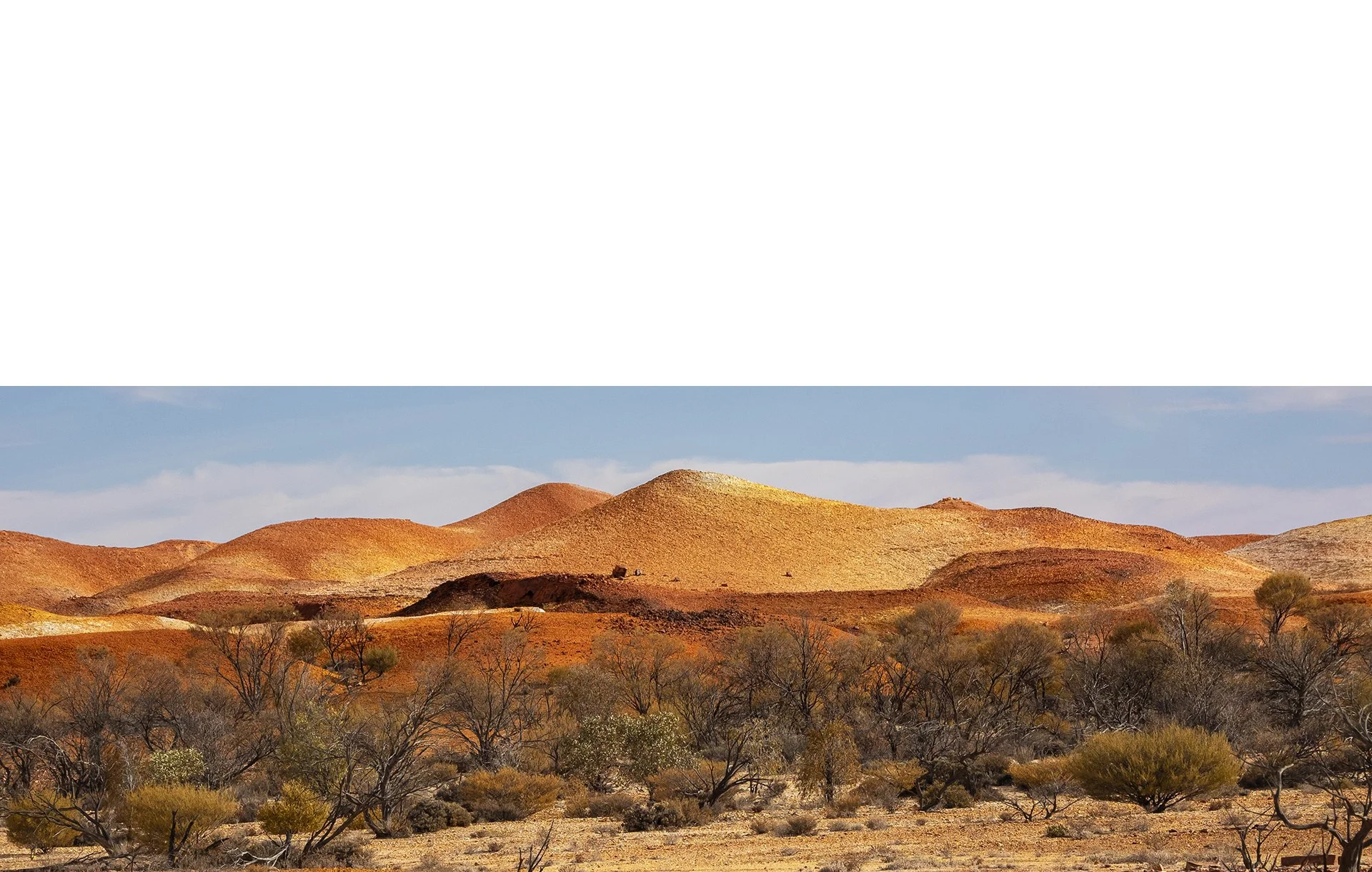 Merit - 7---Gay-Land---Painted-Hills