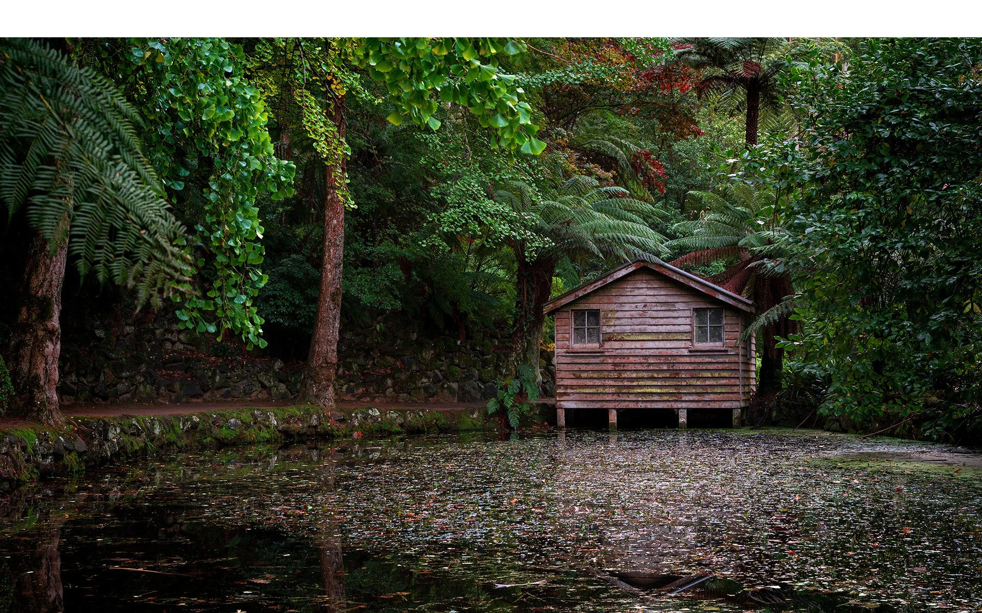 Commended - 5---Lynn-Stephens-Tait---The-Boathouse.jpg