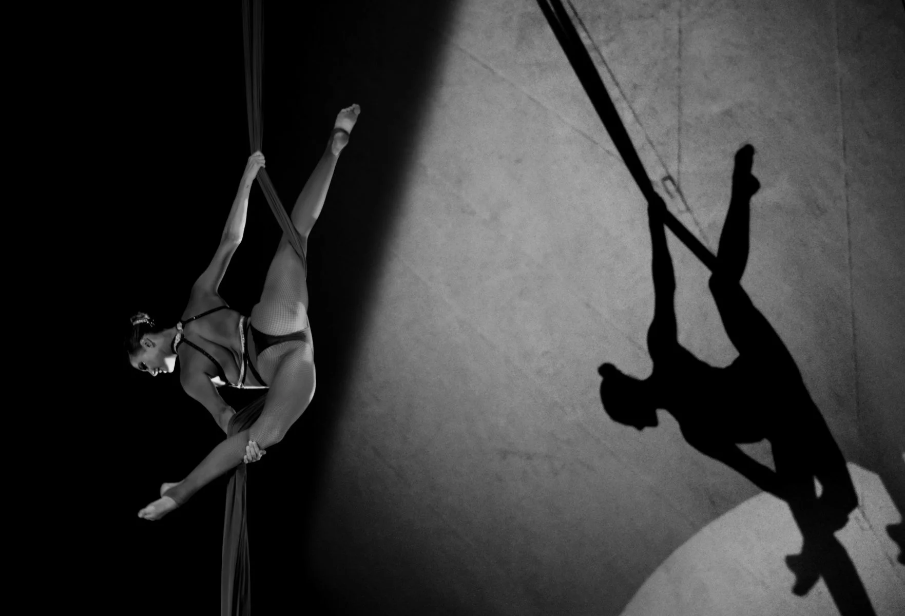 Highly Commended - 6---Philip-Daley---Echo-In-Motion.jpg