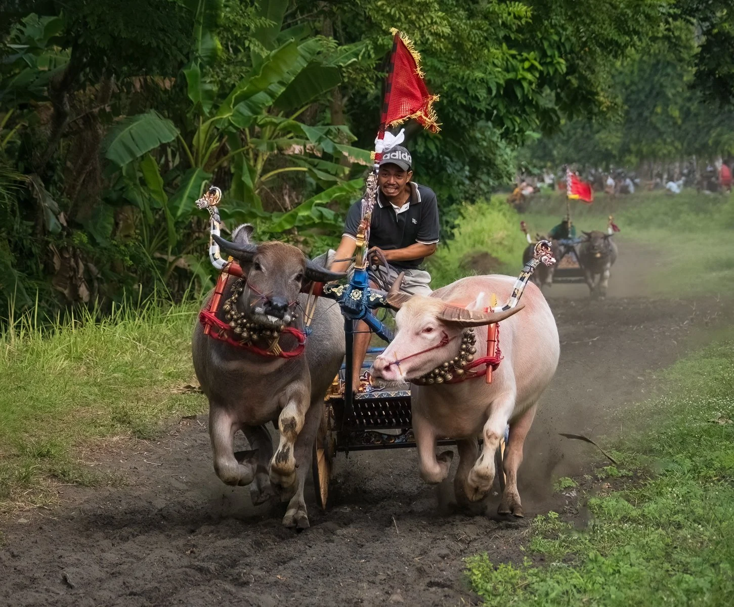 Highly Commended - 6---Victoria-McDonald---Buffalo-Racing.jpg