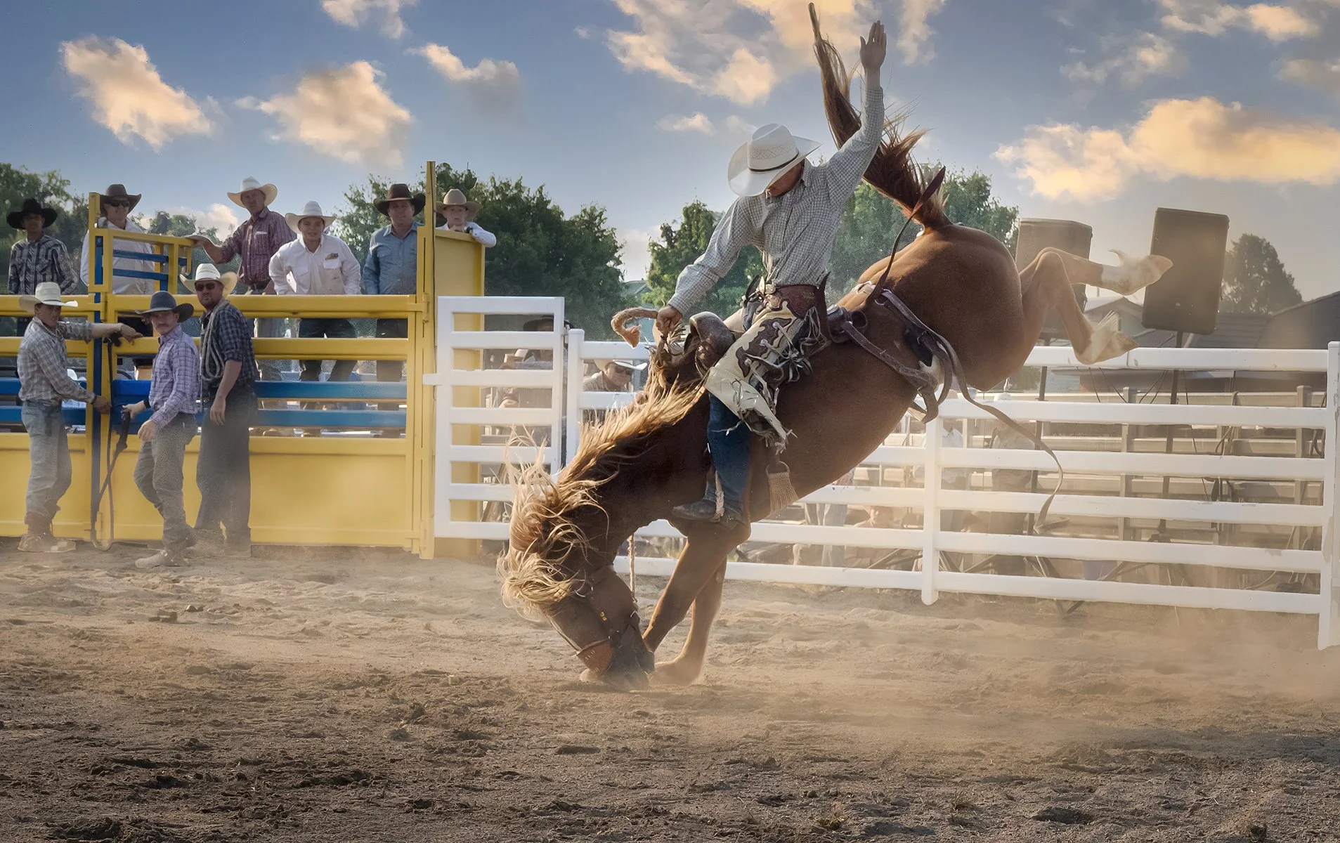 Highly Commended - 6---Neville-Peters---All-Eyes-On-The-Bronc.jpg