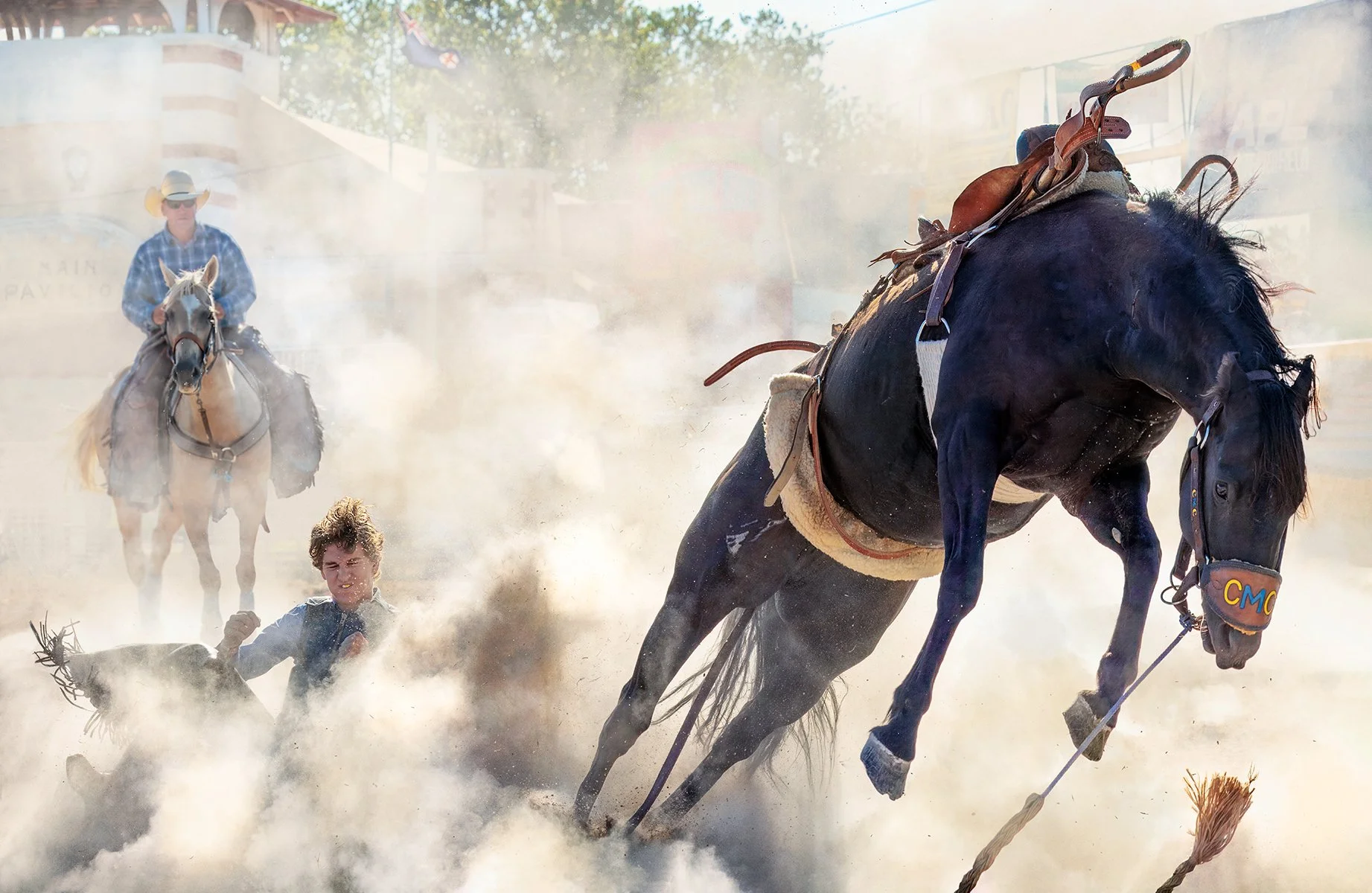Accepted - 4---Gerrit-te Grotenhuis---Equine-Explosion.jpg