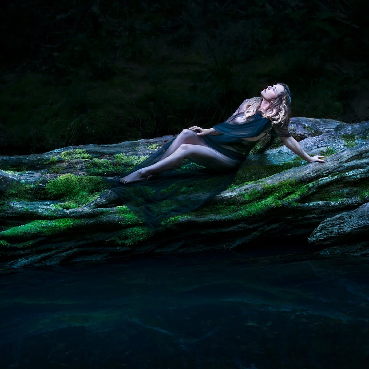 Honours- 9---Jillian-Merlot---Whispers-of-the-Deep-Woods