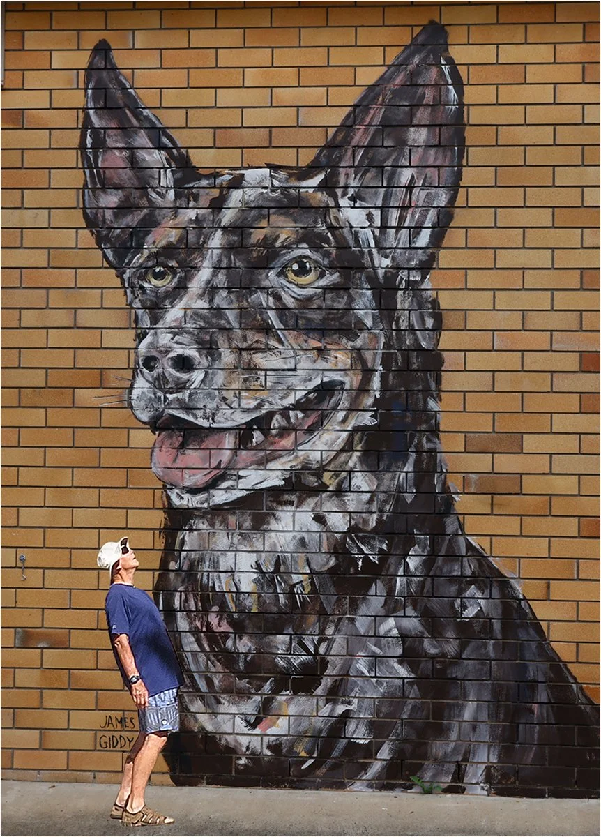 Highly Commended - Bruce-Gimber---Makes-you-Giddy