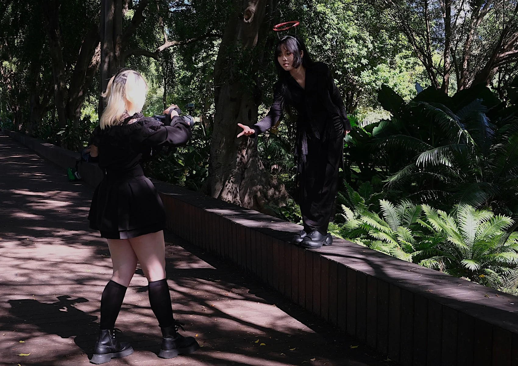 Accepted - Ed-Stewart---Botanic-Gardens-moment
