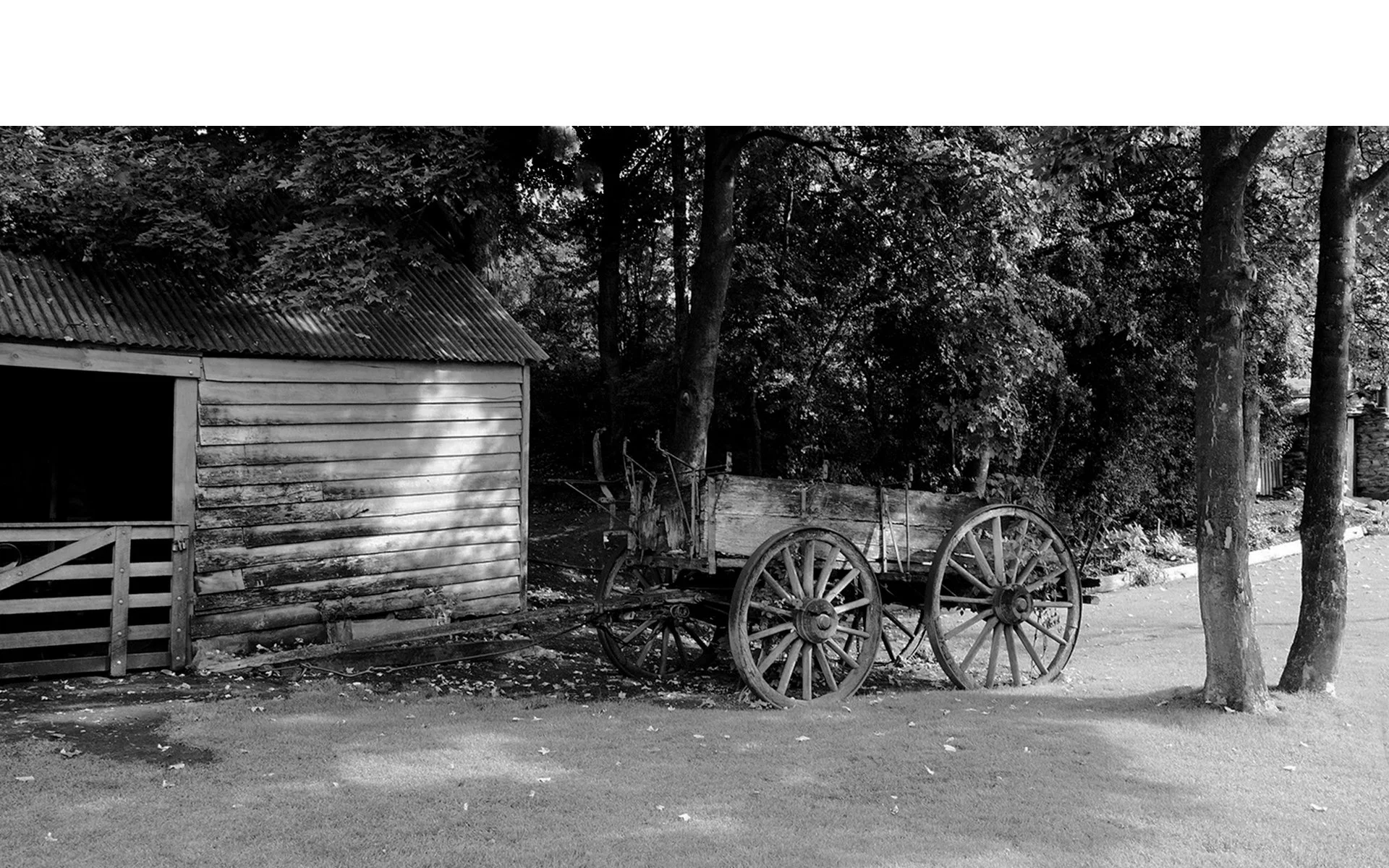 Accepted---Anne-Nelson---Of-Days-Past