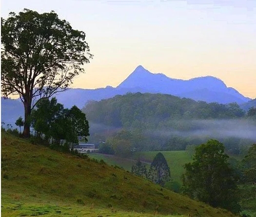 Field Trip: Murwillumbah District