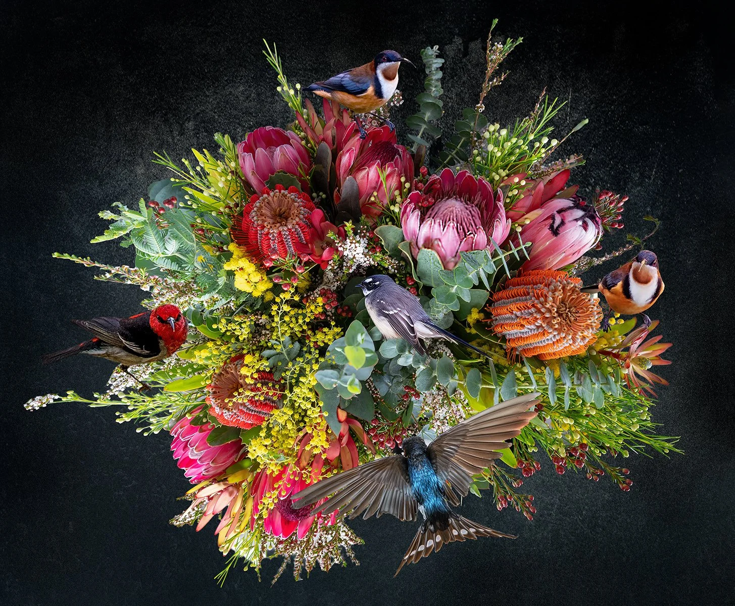 Honours- 9---Carol-Brandt---Natures-Song
