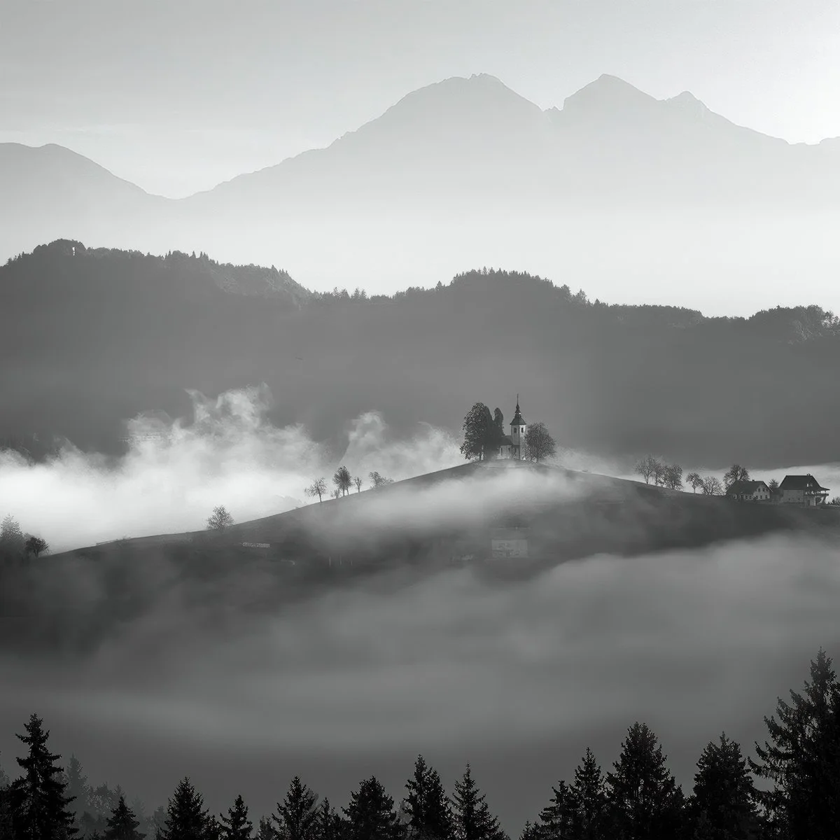 Honours- 9---Catherine-Reading---Surrounded-By-Fog