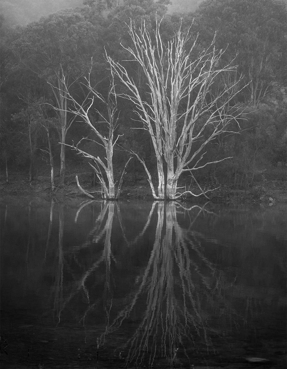 Merit - 7---Allanna-Jessup---Ghosts-in-the-Water
