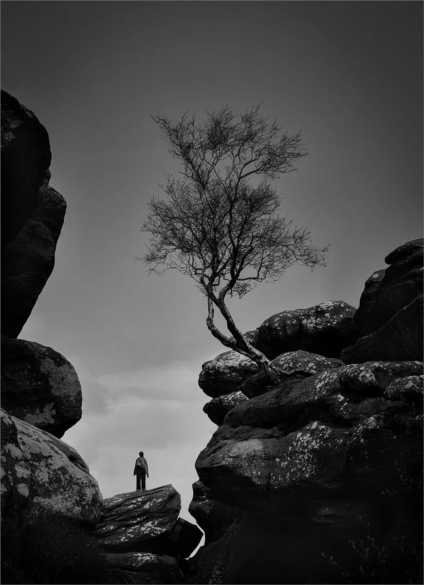Merit - 8---Barry-Jones---The-Whispering-Tree