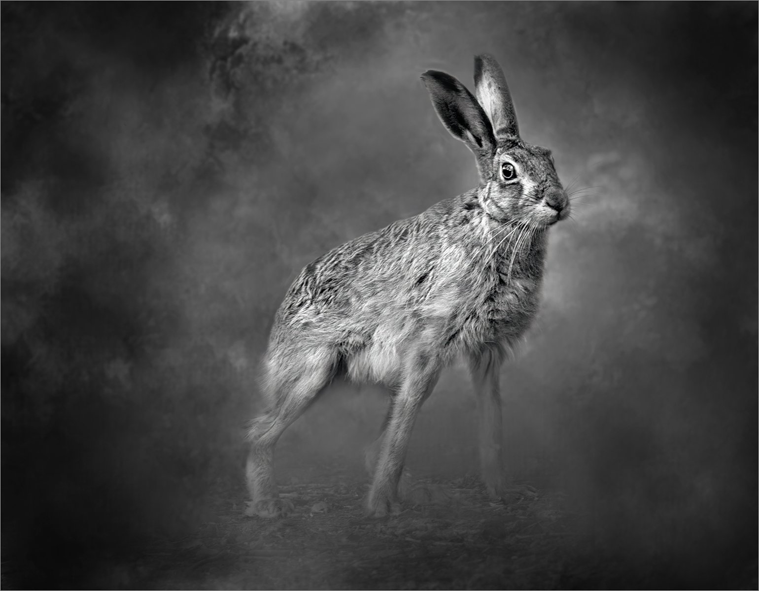 Merit - 8---Barry-Jones---Beyond-The-Smoke