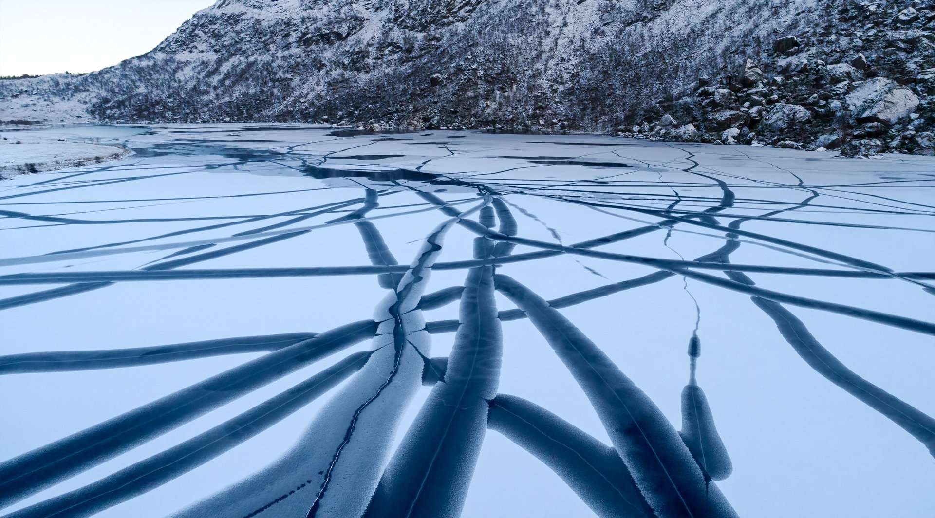 Highly Commended - 6---Lynn-Stephens-Tait---Ice-Blue-Tentacles-PRINT