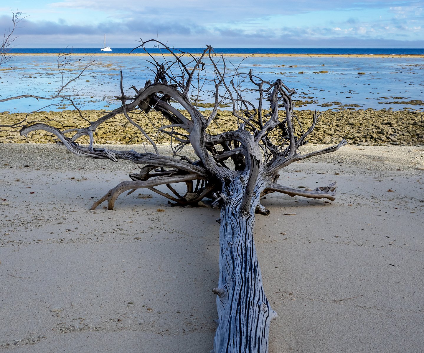 Accepted - 4---Gay-Land---Tides-Out-on-the-Reef
