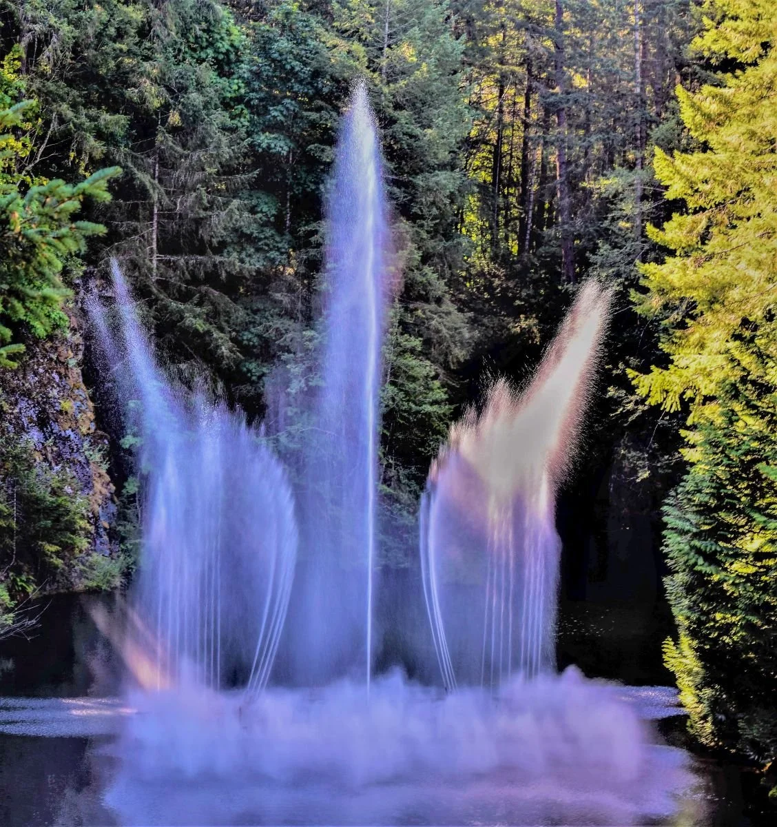 Commended - 5---David-Harries---Water-Show-Bachant-Gardens-PRINT