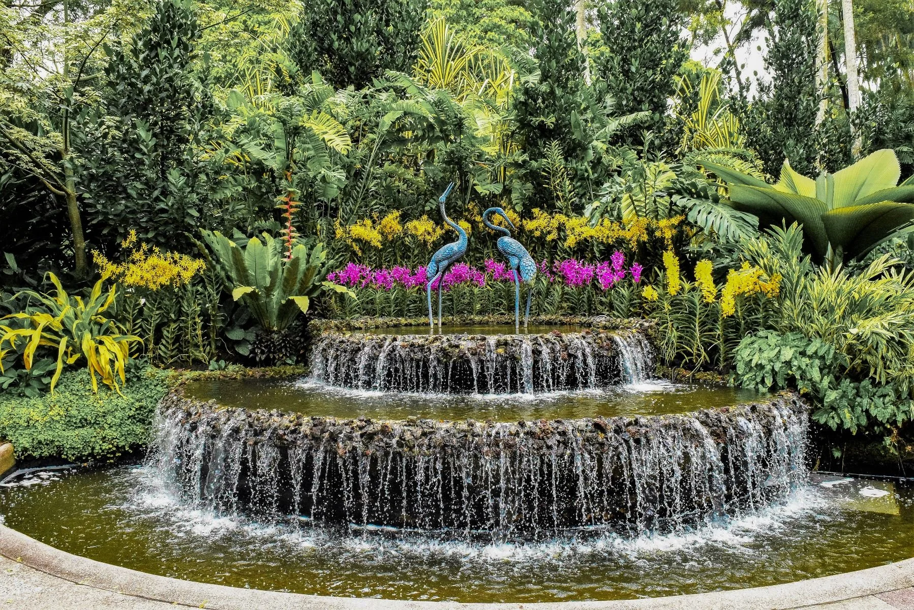 Accepted - 3---David-Harries---Singapore-Gardens