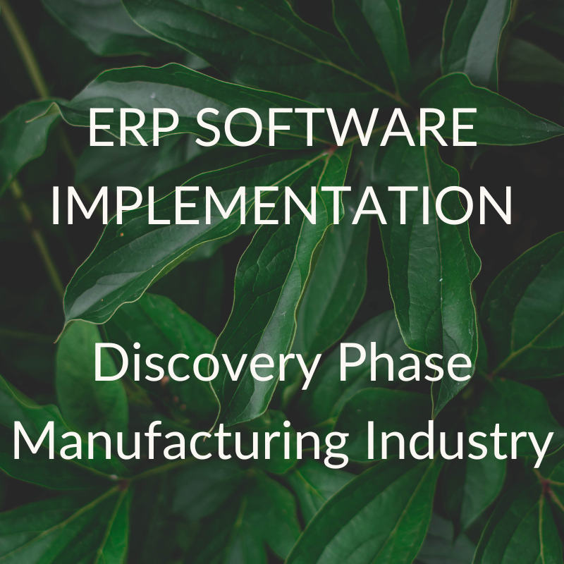 Portfolio Thumbnails - ERP PMO Dubai.png