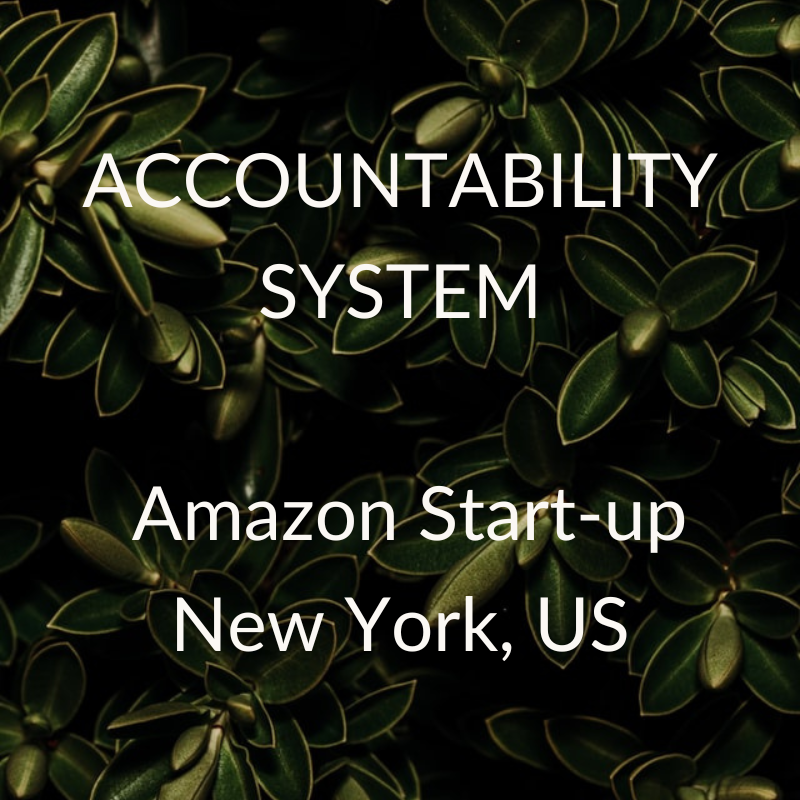 AC System NY Amazon.png